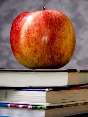 云呼网页版在线轰炸机